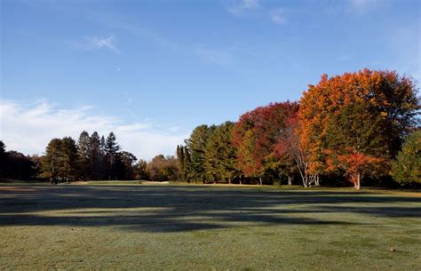bodog golf|bodog usa.